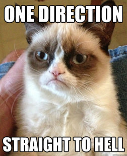 Grumpy cat