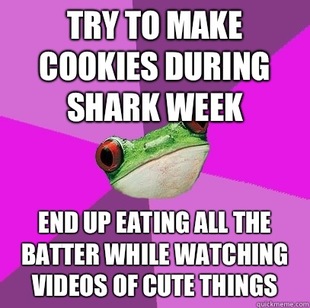 Foul Bachelorette Frog