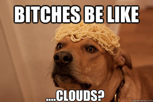 10 Dog