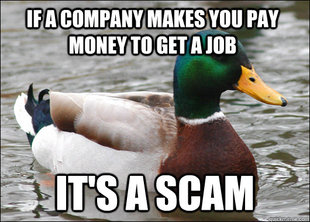 Actual Advice Mallard