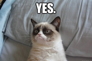 GrumpyCatOL