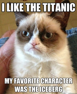 Angry Cat