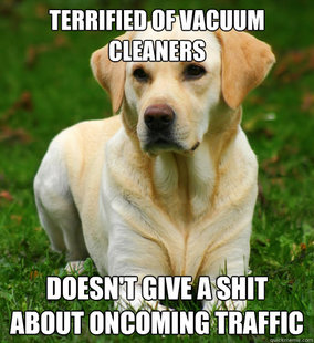 Dog Logic