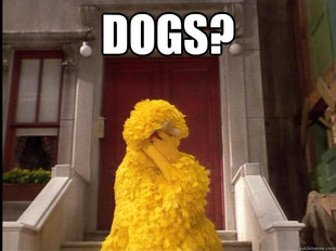 Big Bird
