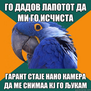 Paranoid Parrot