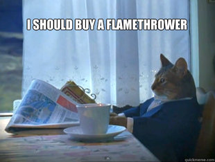 The One Percent Cat