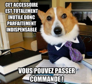 Lawyer Dog