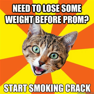 Bad Advice Cat