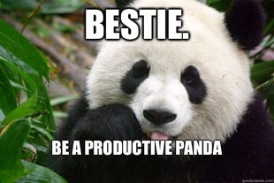 Productivity panda