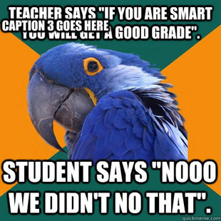 Paranoid Parrot