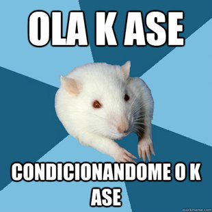 Psychology Major Rat