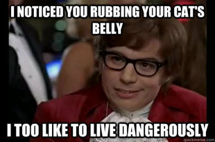 Dangerously - Austin Powers