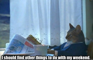 Sophisticated Cat is broke