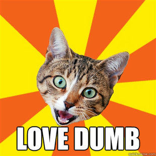 Bad Advice Cat