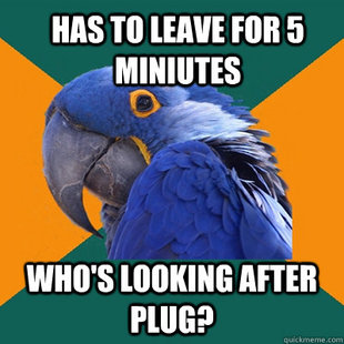 Paranoid Parrot