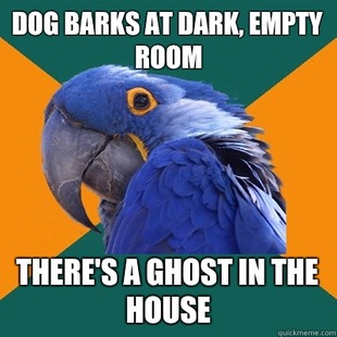 Paranoid Parrot