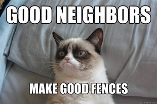GrumpyCatOL