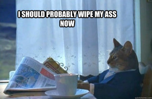 Sophisticated Cat