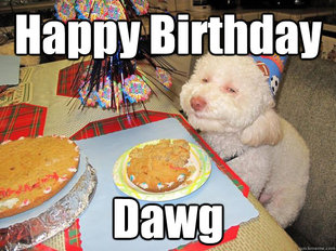 Stoned Birthday Dog