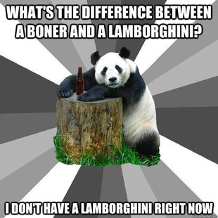 Pickup-Line Panda