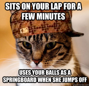 Scumbag Cat