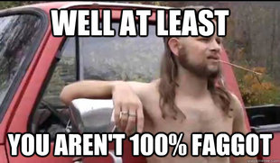 Almost Politically Correct Redneck