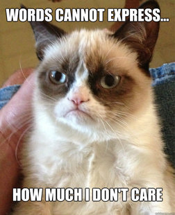 Grumpy Cat