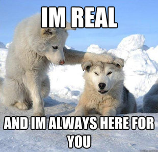 Caring Husky