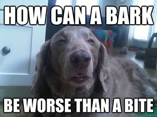 10 Dog