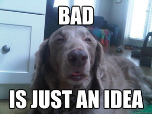 10 Dog