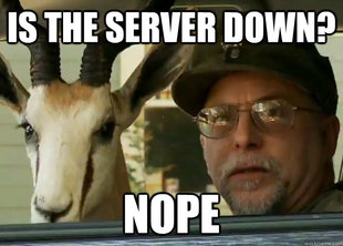 Chuck Testa