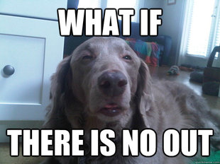 10 Dog