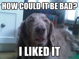 10 Dog