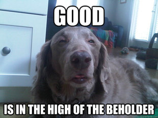 10 Dog