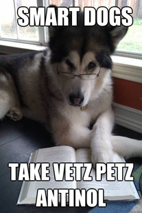 Condescending Literary Pun Dog