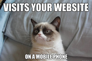 GrumpyCatOL