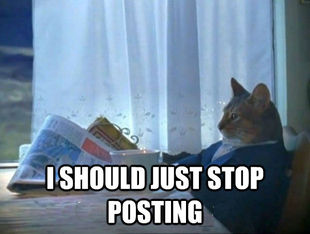 morning realization newspaper cat meme