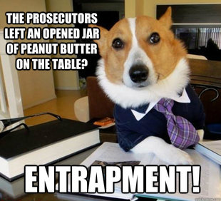 Lawyer Dog