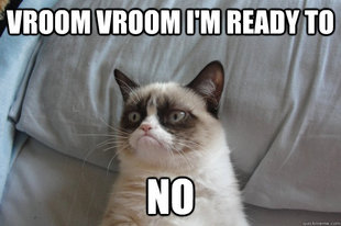 GrumpyCatOL