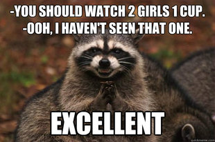 Evil Plotting Raccoon