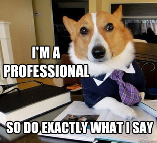 Lawyer Dog