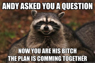 Evil Plotting Raccoon