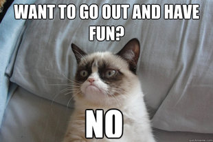 GrumpyCatOL