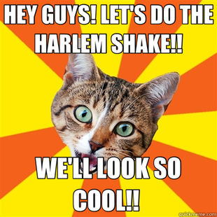 Bad Advice Cat