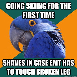 Paranoid Parrot