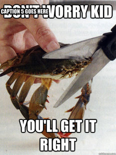 Optimistic Crab