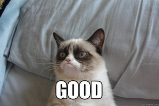 GrumpyCatOL