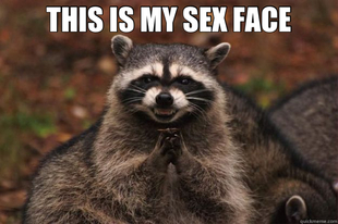 Evil Plotting Raccoon