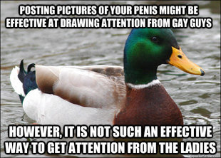 Actual Advice Mallard
