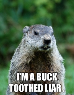 Groundhog Day